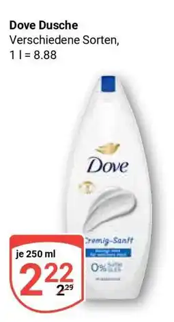 Globus Dove Dusche Angebot