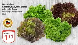 Globus Bunte Salate: Eichblatt, Krull, Lollo Bionda oder Lollo Rosso Angebot