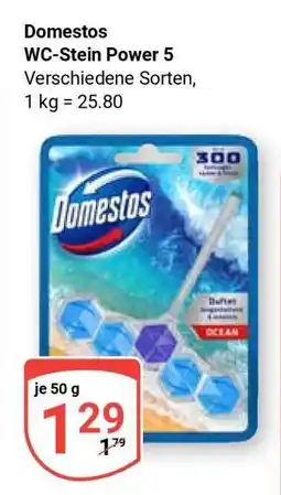 Globus DOMESTOS WC-Stein Power 5 Angebot