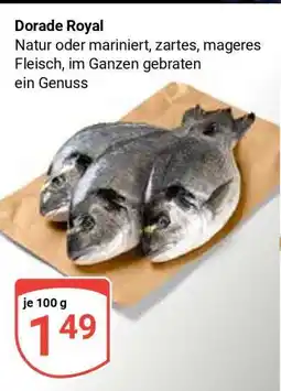 Globus Dorade Royal Angebot