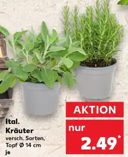 Kaufland Ital. Kräuter Angebot