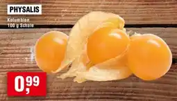 Handelshof PHYSALIS Angebot