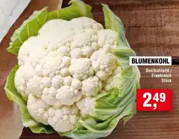 Handelshof BLUMENKOHL Angebot