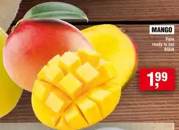 Handelshof MANGO Angebot