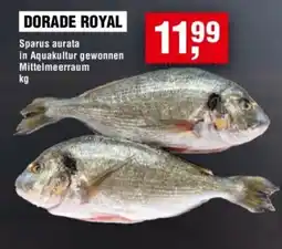 Handelshof DORADE ROYAL Angebot