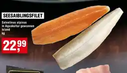 Handelshof SEESAIBLINGSFILET Angebot