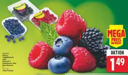 E-Center Kulturheidelbeeren Angebot