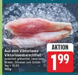 Edeka Viktoriaseebarschfilet Angebot