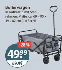 V Markt Bollerwagen Angebot