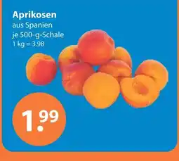V Markt Aprikosen Angebot