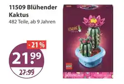 V Markt Lego 11509 blühender kaktus Angebot
