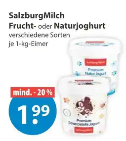 V Markt Salzburgmilch frucht- oder naturjoghurt Angebot