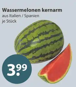 V Markt Wassermelonen kernarm Angebot