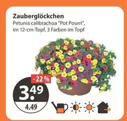 V Markt Zauberglöckchen Angebot