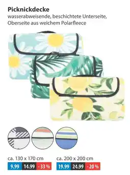 V Markt Picknickdecke Angebot