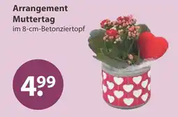 V Markt Arrangement muttertag Angebot