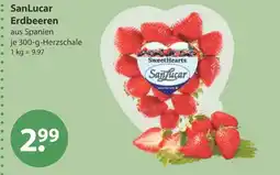 V Markt Sanlucar erdbeeren Angebot