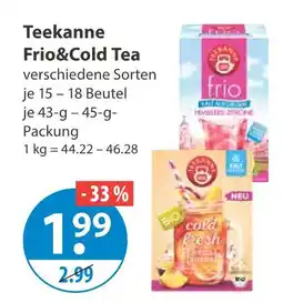 V Markt Teekanne frio&cold tea Angebot