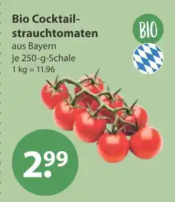 V Markt Bio cocktailstrauchtomaten Angebot