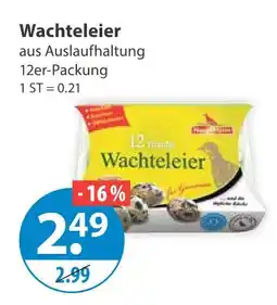V Markt Wachteleier Angebot