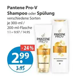 V Markt Pantene pro-v shampoo Angebot