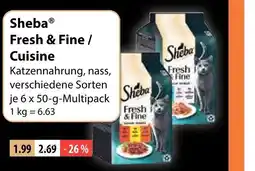 V Markt Sheba fresh & fine / cuisine Angebot