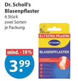 V Markt Dr. scholl's blasenpflaster Angebot