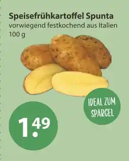 V Markt Speisefrühkartoffel spunta Angebot