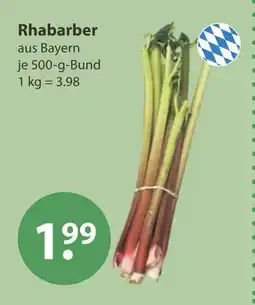 V Markt Rhabarber Angebot