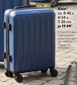 Kaufland Passenger Trolley Reisekoffer Angebot