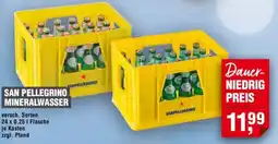 Handelshof SAN PELLEGRINO MINERALWASSER Angebot