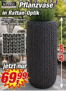 Posten Börse KYNAST Pflanzvase in Rattan-Optik Angebot