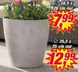 Posten Börse KYNAST Pflanztopf ,,Smooth" Angebot