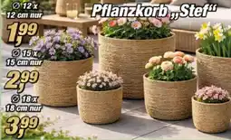Posten Börse Pflanzkorb Stef Angebot