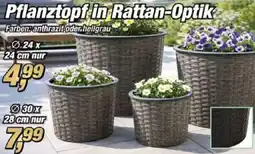 Posten Börse Pflanztopf in Rattan-Optik Angebot