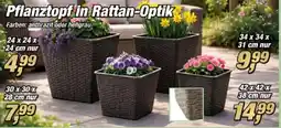 Posten Börse Pflanztopf in Rattan-Optik Angebot