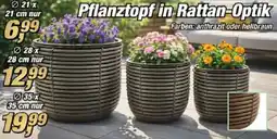 Posten Börse Pflanztopf in Rattan-Optik Angebot