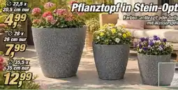 Posten Börse Pflanztopf in Stein-Optik Angebot