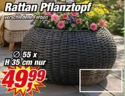 Posten Börse Rattan Pflanztopf Angebot
