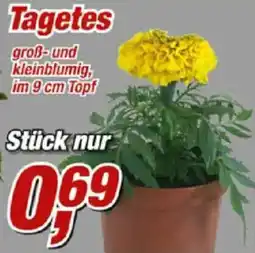 Posten Börse Tagetes Angebot