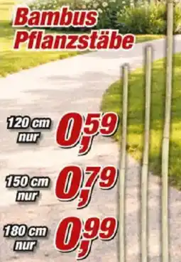 Posten Börse Bambus Pflanzstäbe Angebot