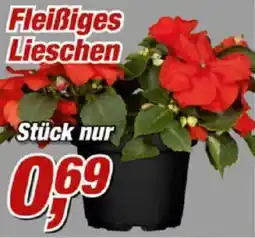 Posten Börse Fleißiges Lieschen Angebot