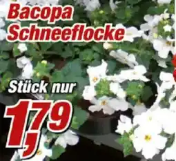Posten Börse Bacopa Schneeflocke Angebot