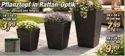 Posten Börse Pflanztopf in Rattan-Optik Angebot