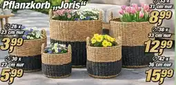 Posten Börse Pflanzkorb ,,Joris" Angebot