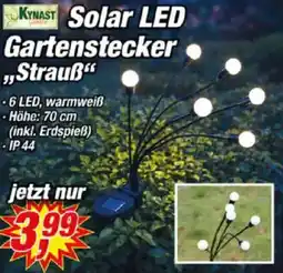 Posten Börse KYNAST Solar LED Gartenstecker "Strauß" Angebot