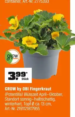 OBI Grow by obi fingerkraut Angebot
