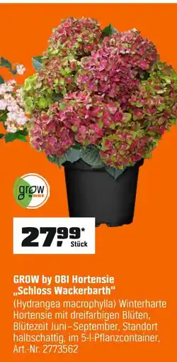 OBI Grow by obi hortensie schloss wackerbarth Angebot