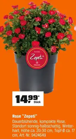 OBI Meilland rose zepeti Angebot