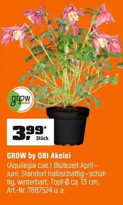 OBI Grow by obi akelei Angebot